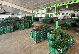 Mercancía preparada para su comercialización.