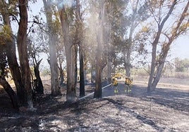 Bomberos durante las labores de extinción del incendio.