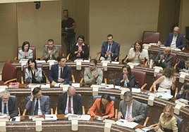 Un momento de la jornada de este jueves en la Asamblea.