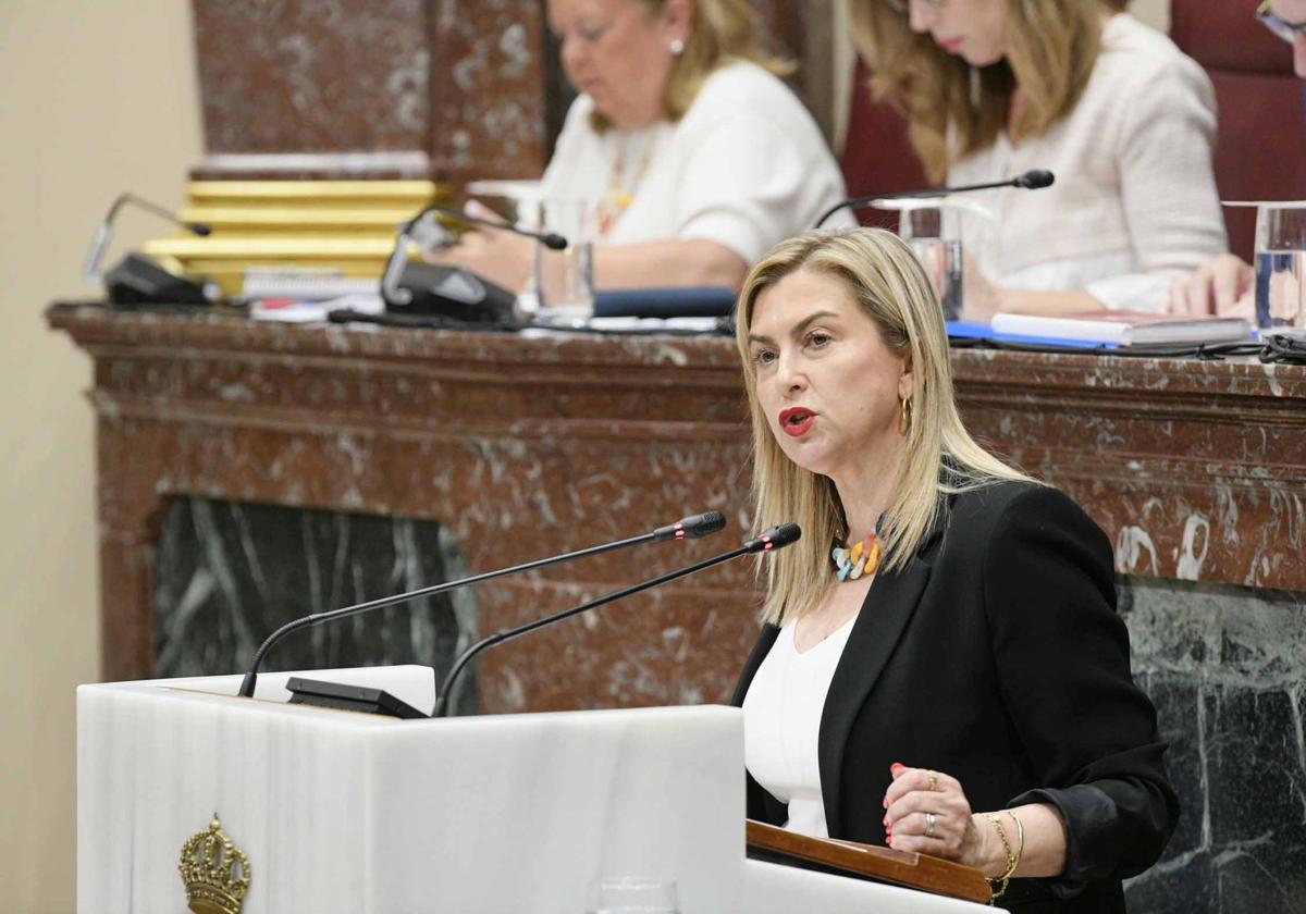 La portavoz del PSOE en la Asamblea, Carmina Fernández, este jueves durante su turno de intervención.