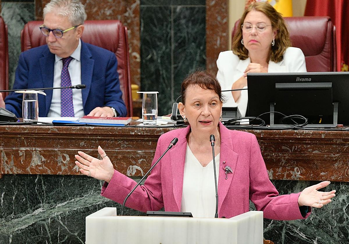 La portavoz de Podemos-IU-Alianza Verde, María Marín, durante su turno de palabra este jueves en la Asamblea.