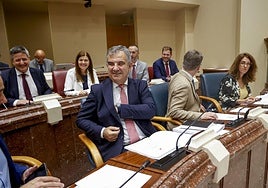 El consejero de Medio Ambiente, este viernes en la Asamblea.