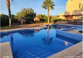 El mantenimiento de piscinas, jardines y zonas comunes es su especialidad.