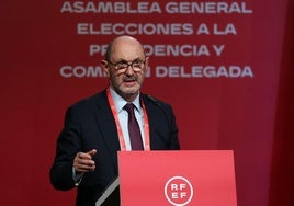 Rafael Louzán.