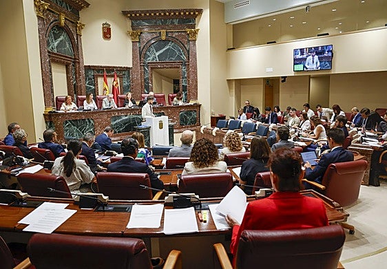 El Pleno de la Asamblea Regional, este martes.