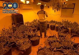 Registro policial en inmuebles del barrio cartagenero de Los Mateos.