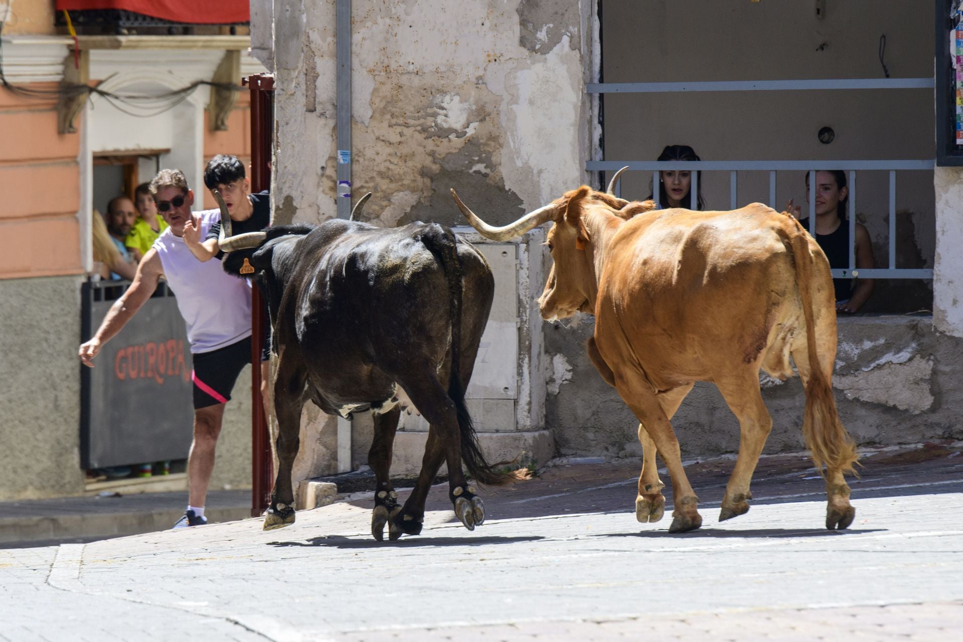 El encierro de Moratalla de este viernes, en imágenes
