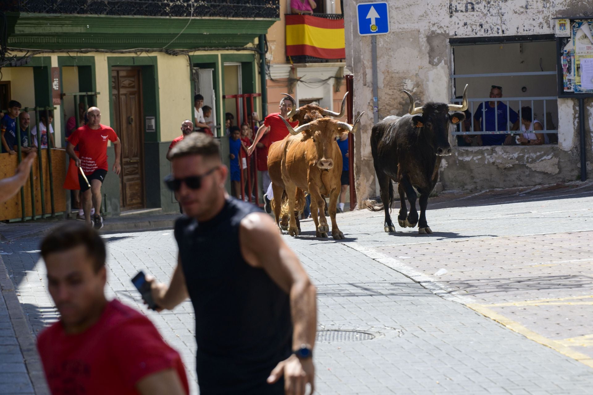 El encierro de Moratalla de este viernes, en imágenes