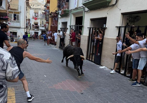 Encierro de este sábado en Moratalla.