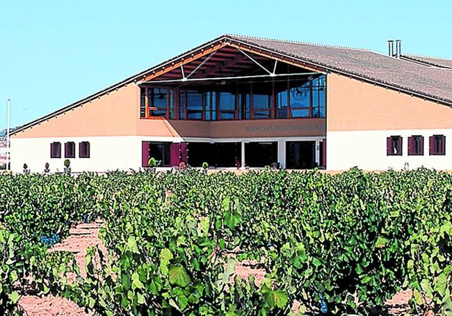 Bodegas Barahonda, Vicente Martínez Gadea, 2005.