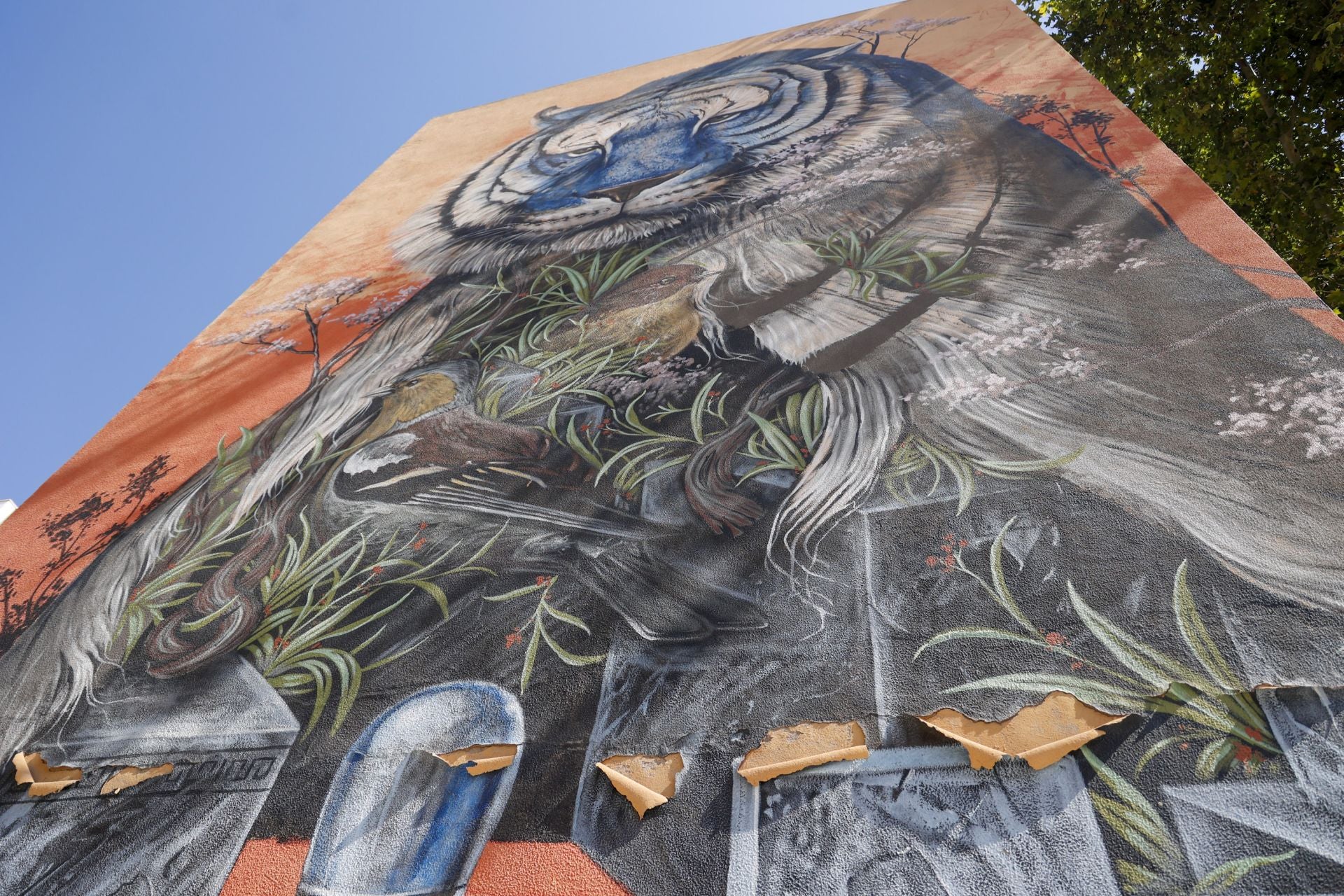 Las imágenes de los murales de Cartagena