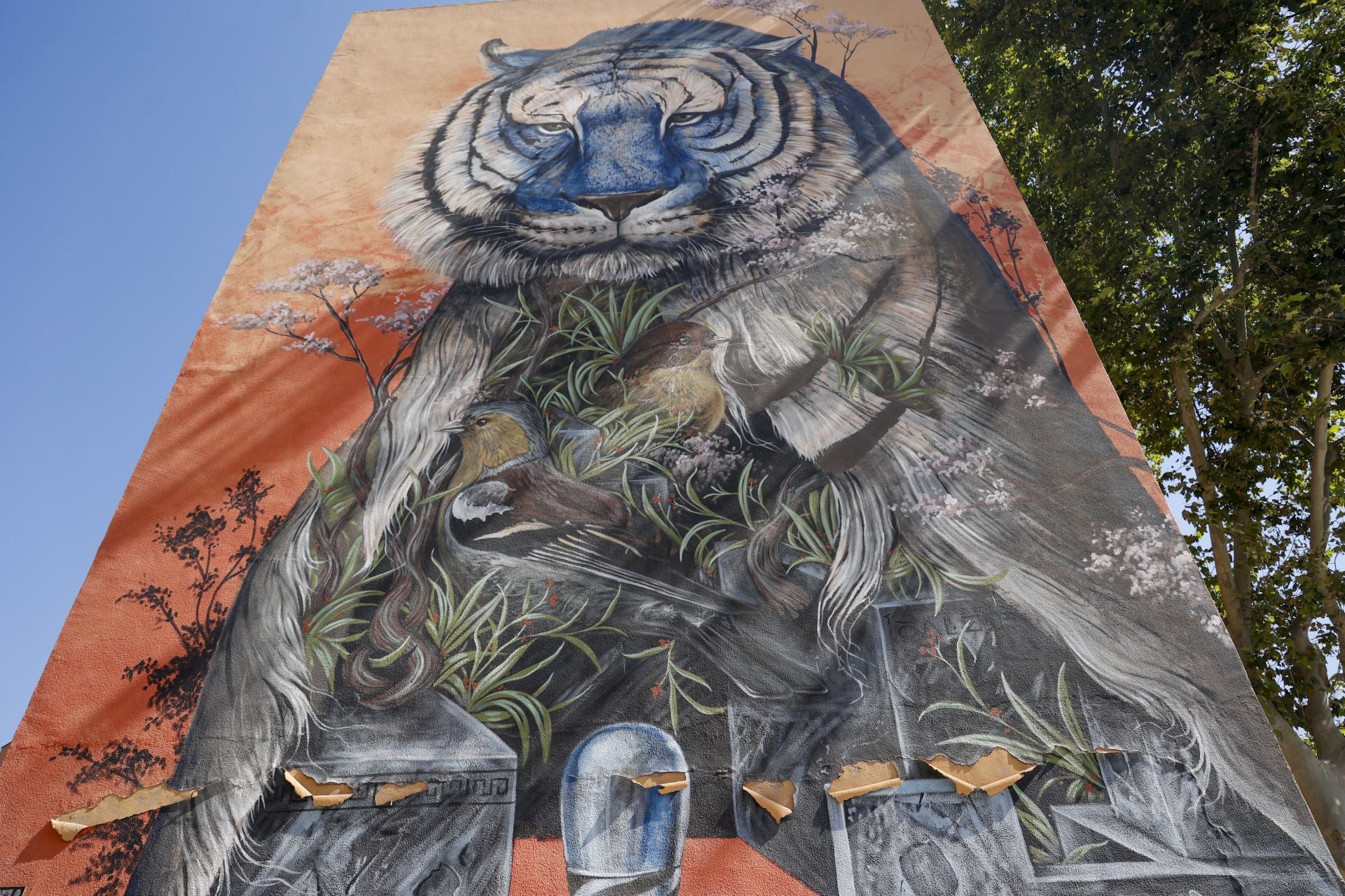 Las imágenes de los murales de Cartagena