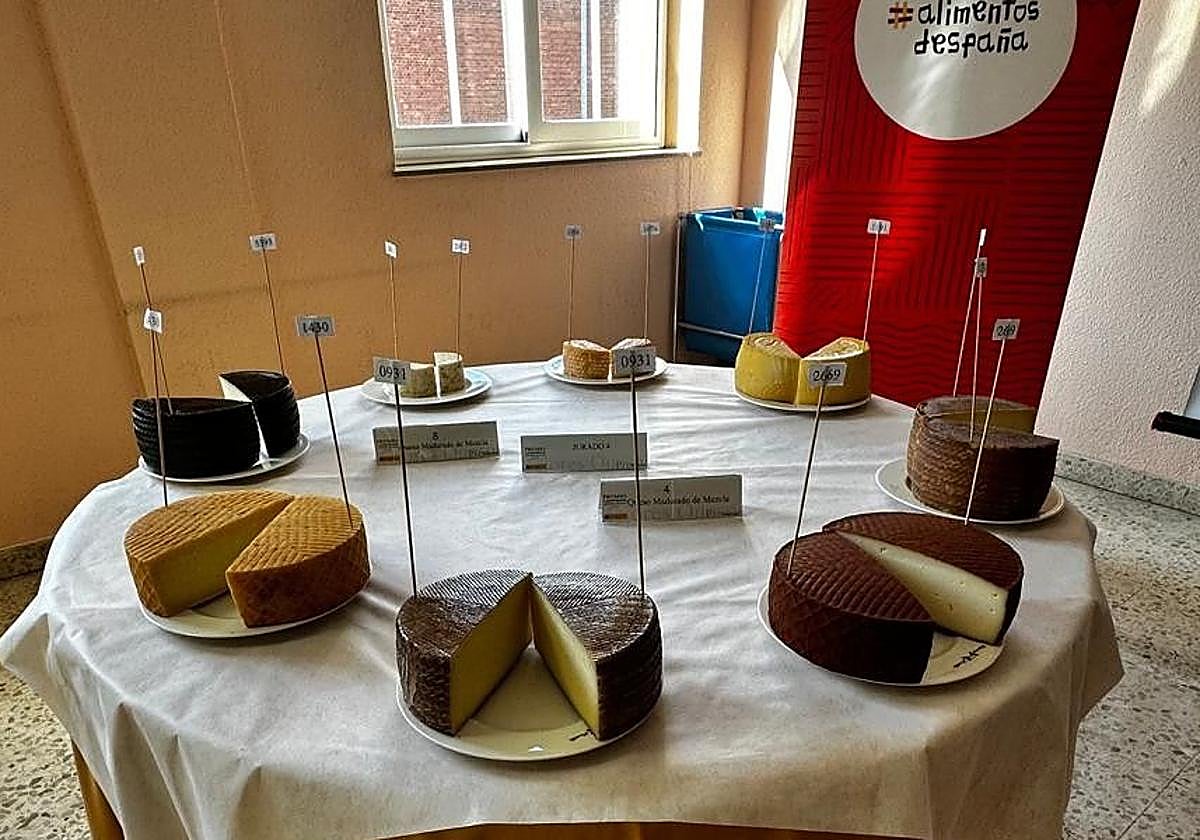 Muestra en la cata de quesos para decidir los mejores en el galardón 'Alimentos de España 2025'.