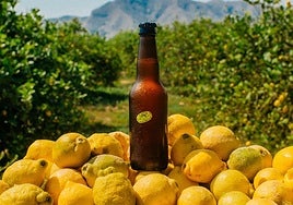 Una cerveza de Santomera para combatir el desperdicio de cítricos que nadie quiere