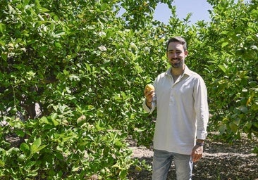 Rafael Olmos: «Los restos del limonero mejoran el contenido nutricional del suelo»