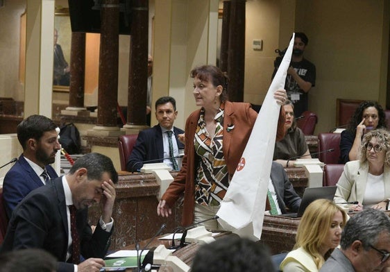 María Marín coloca un capirote del Ku Klux Klan en el escaño de Antelo.