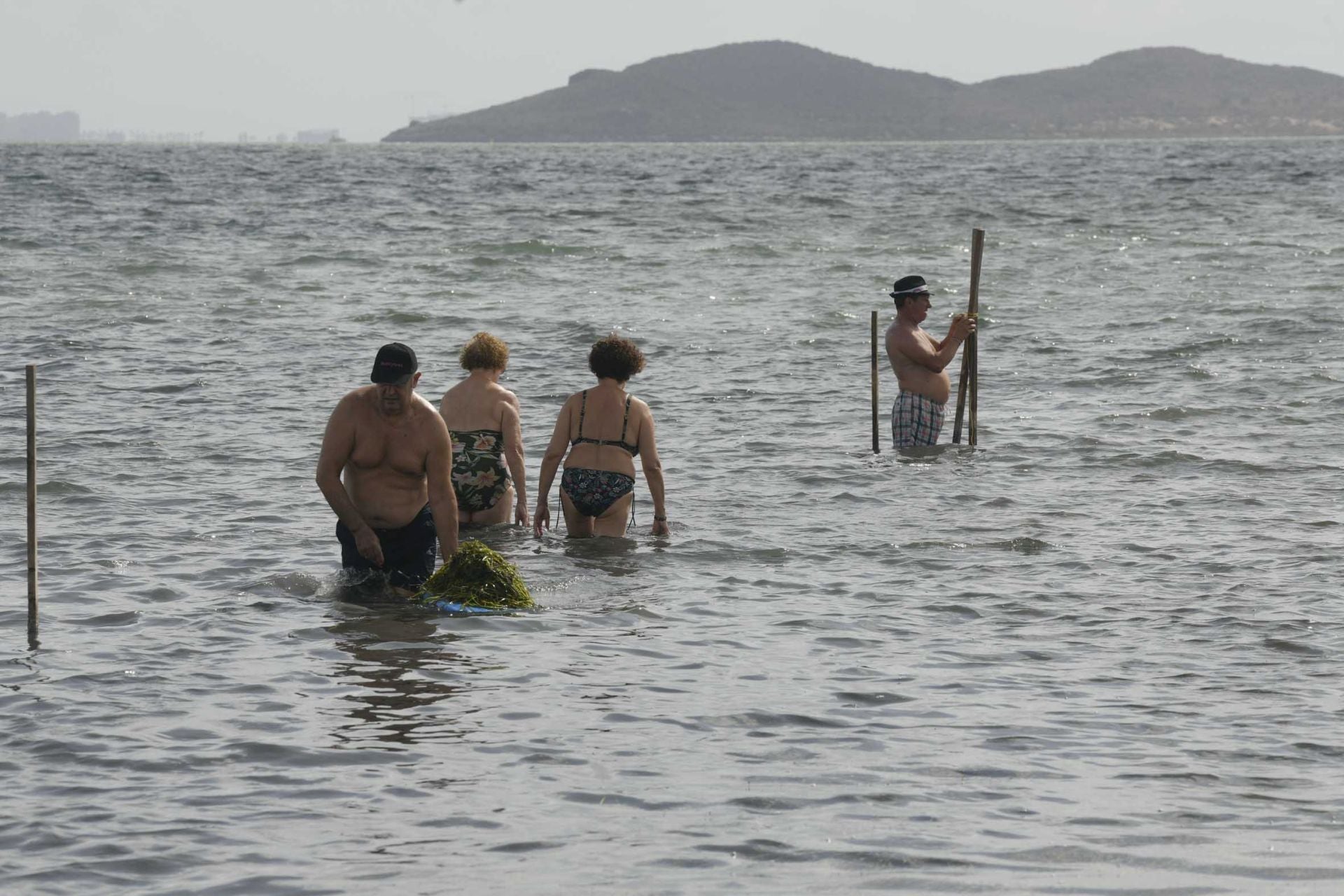 Los vecinos de Los Urrutias y Punta Brava retiran ova de las playas