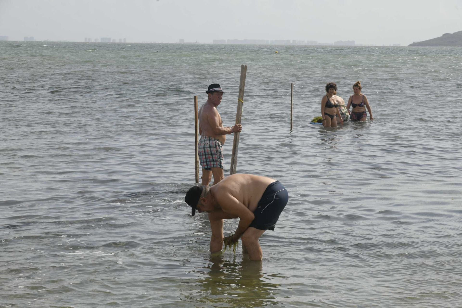 Los vecinos de Los Urrutias y Punta Brava retiran ova de las playas