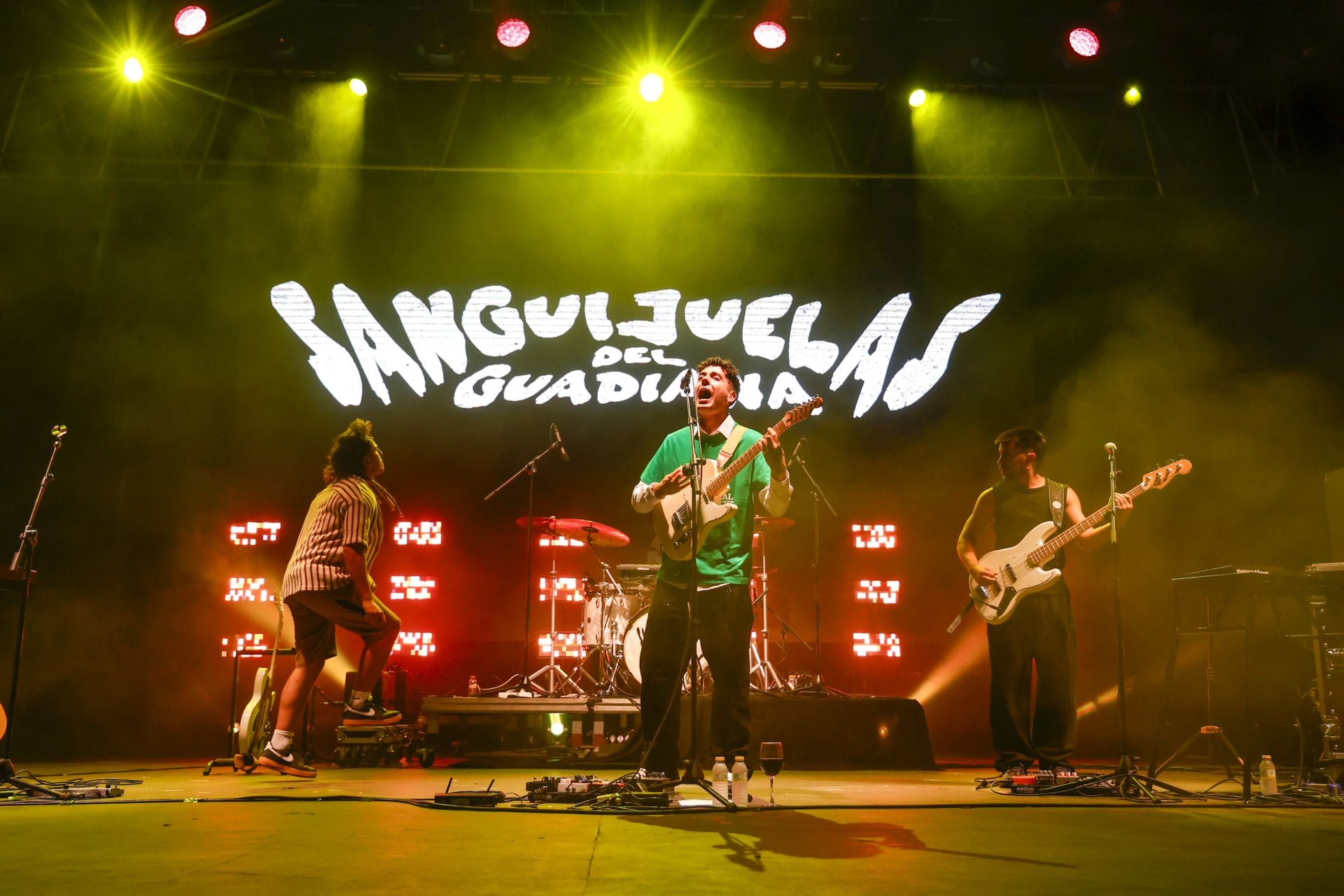 Los conciertos de Sanguijuelas del Guadiana, G5, Clara Ysé y Luzmila Carpio en La Mar de Músicas