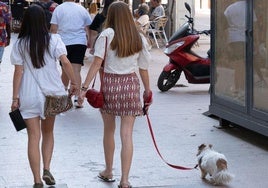 Una chica pasea con su mascota por Lorca en una imagen de archivo.
