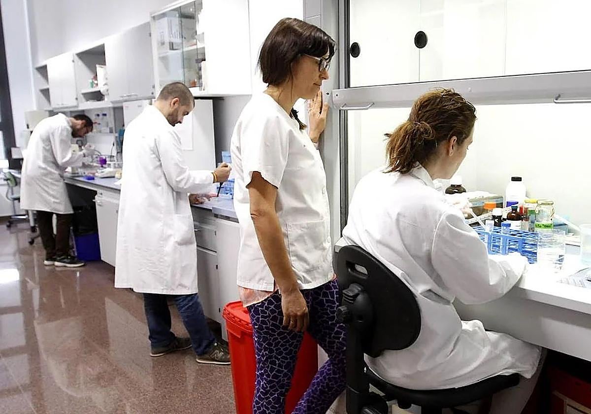 Investigadores en las instalaciones del IMIB, en una imagen de archivo.
