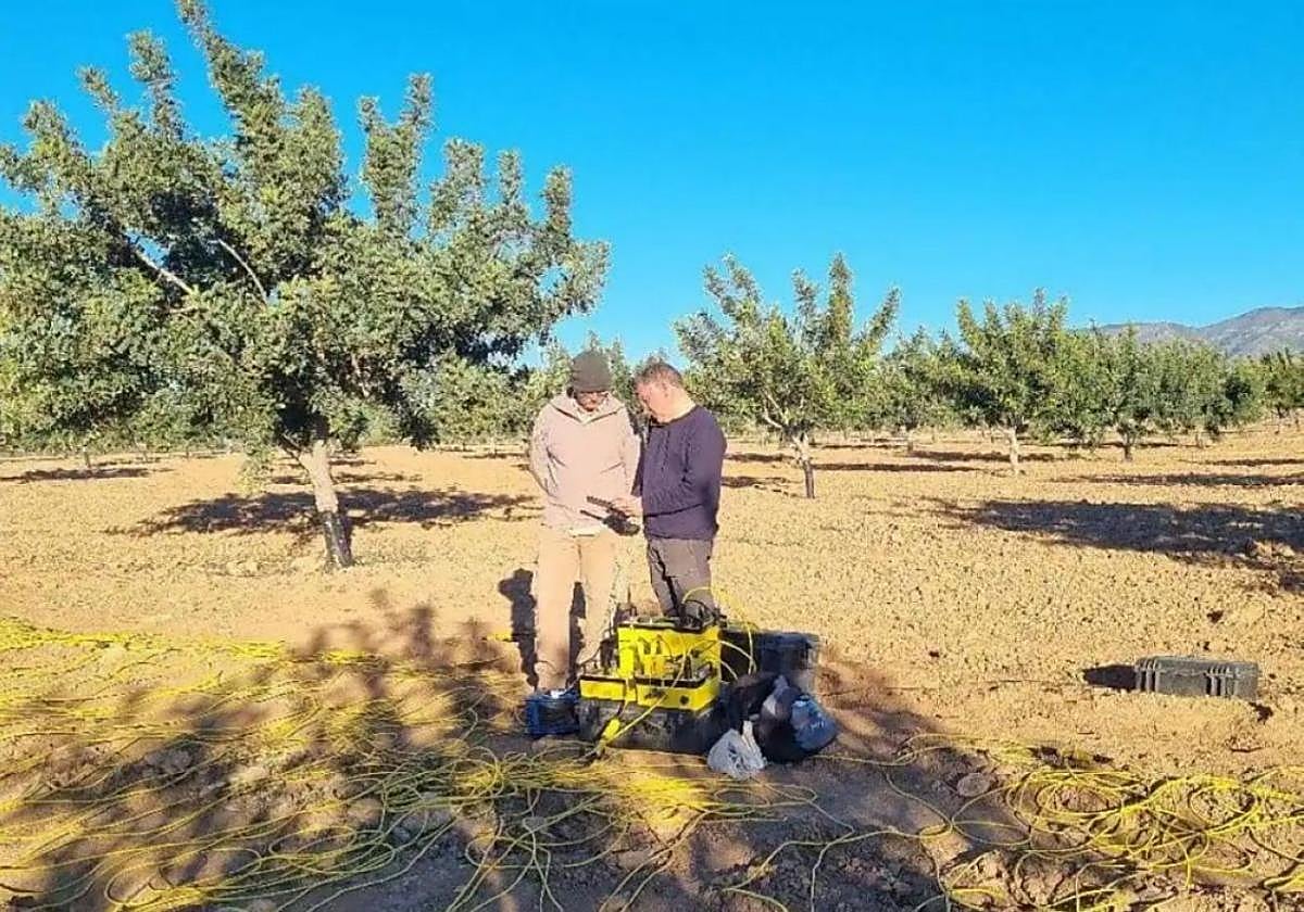 Ensayo en un terreno agrícolade Fuente Álamo.