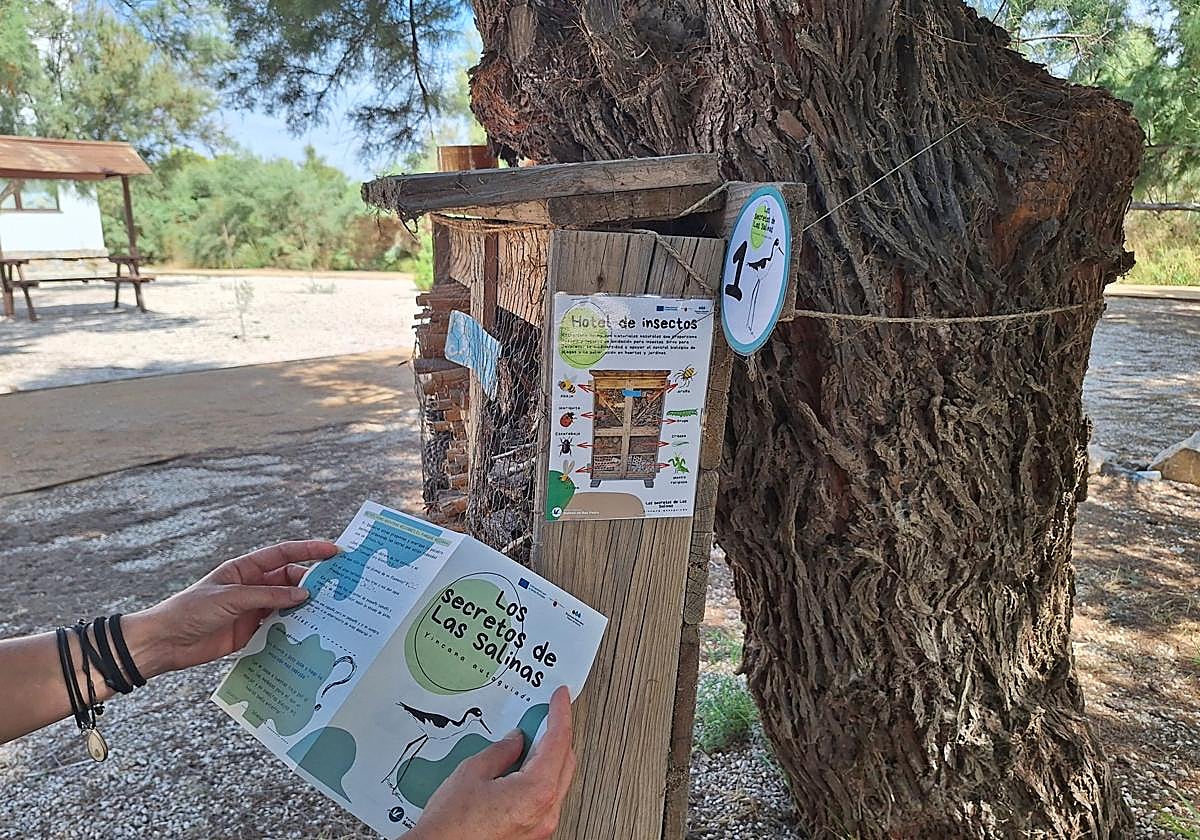 Yincana realizada en el entorno del Centro de Visitantes del Parque Regional de las Salinas de San Pedro, en una imagen de archivo.
