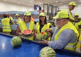 La consejera Sara Rubira, junto a la alcaldesa de Cartagena, Noelia Arroyo, y el CEO de JimboFresh, Miguel Ángel Jiménez, durante su visita a la cooperativa Levante Sur.