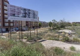 Un hombre pasea a su perro por los terrenos, donde todavía hay un cartel anunciando que habrá construcciones.