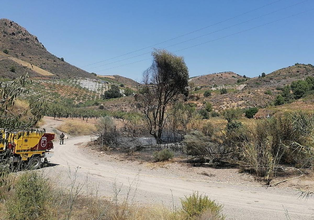 La zona afectada por el incendio.