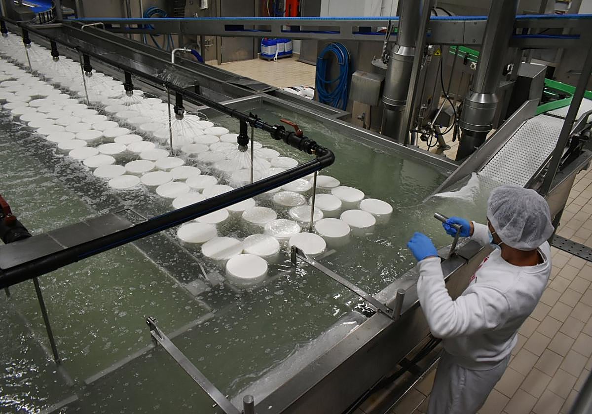 Un trabajador durante el proceso de elaboración de quesos en la fábrica de Tío Resti, en Caravaca de la Cruz.