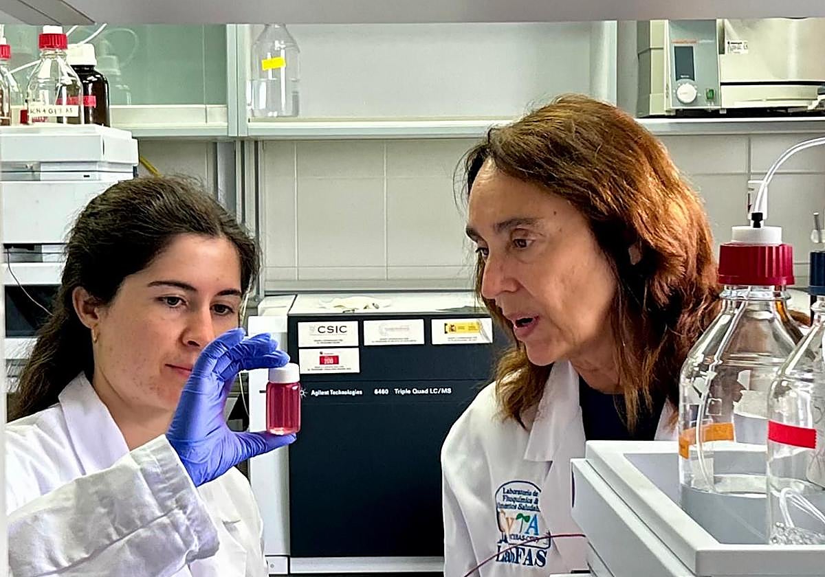 Cristina García-Viguera (drcha.) examina una muestra de la nueva kombucha obtenida en el laboratorio del CEBAS-CSIC.