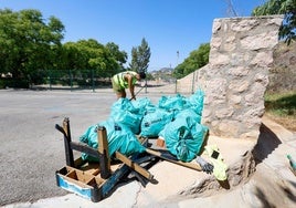 Un operario del servicio de limpieza trabajando en la zona del parque del barrio de Los Ángeles de Lorca este jueves tras la denuncia del PSOE.