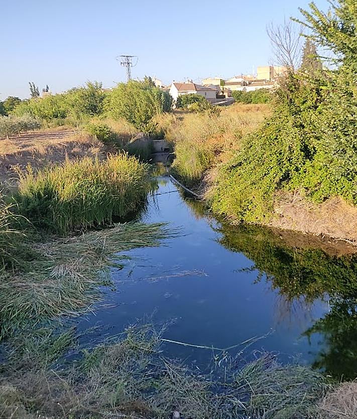 Imagen secundaria 2 - Arriba, acequia del nacimiento fuente Bugejar seca en julio de 2024. Abajo, nacimiento Fuente Junquera en enero de 2024 y nacimiento Fuente Singla este año.