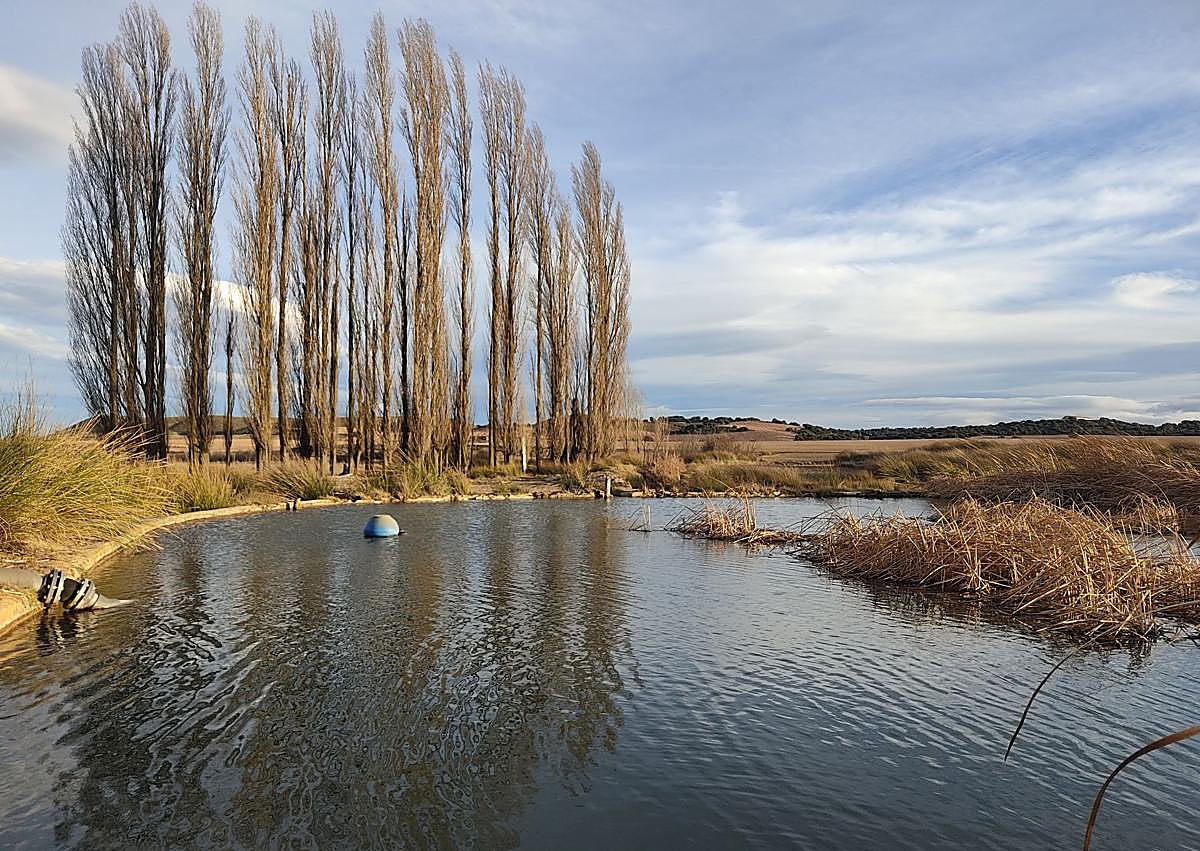 Imagen secundaria 1 - Arriba, acequia del nacimiento fuente Bugejar seca en julio de 2024. Abajo, nacimiento Fuente Junquera en enero de 2024 y nacimiento Fuente Singla este año.