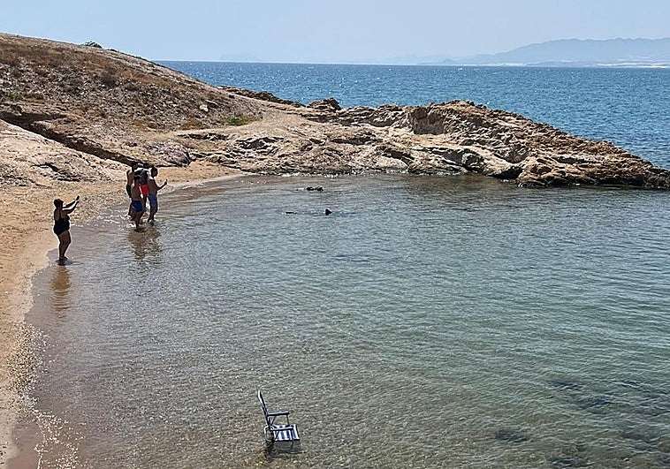 Bañistas fotografían al animal, cuya aleta queda fuera del agua en la imagen.