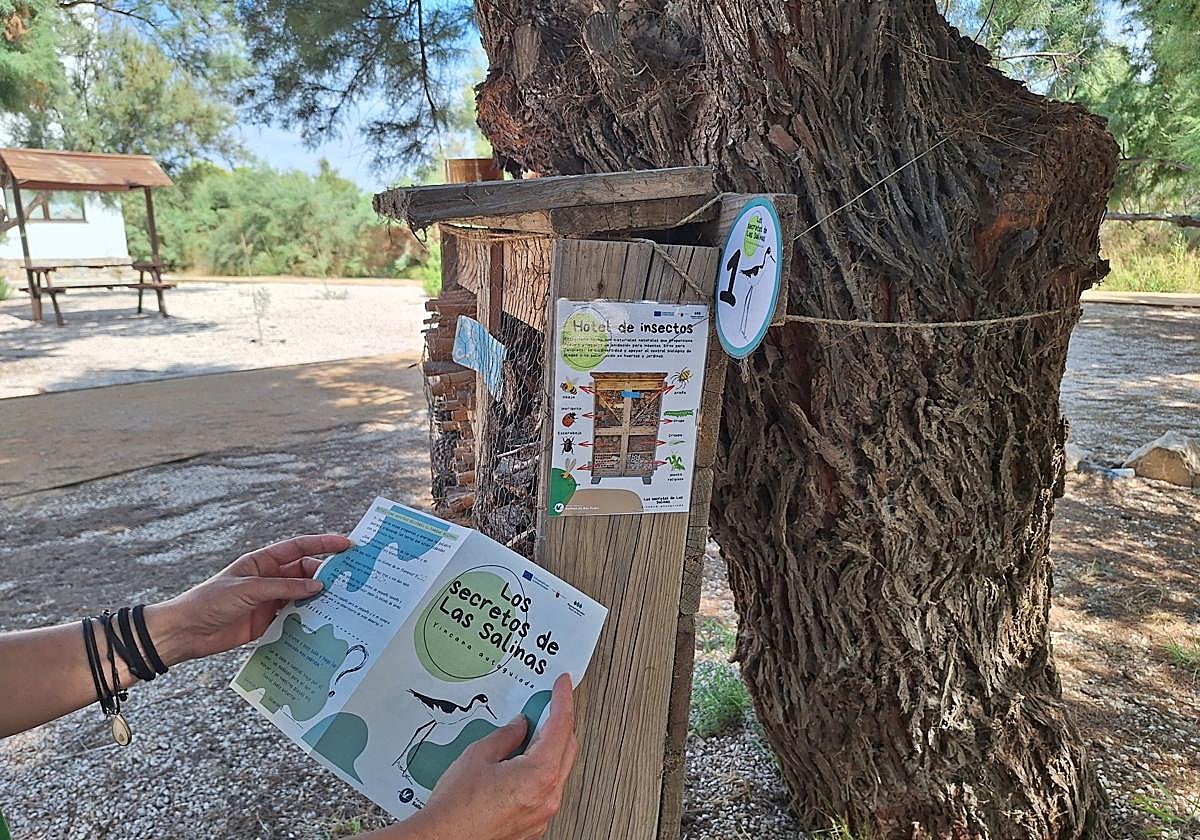 La Comunidad ofrece en agosto propuestas de educación ambiental en Sierra Espuña, Calblanque y las Salinas de San Pedro