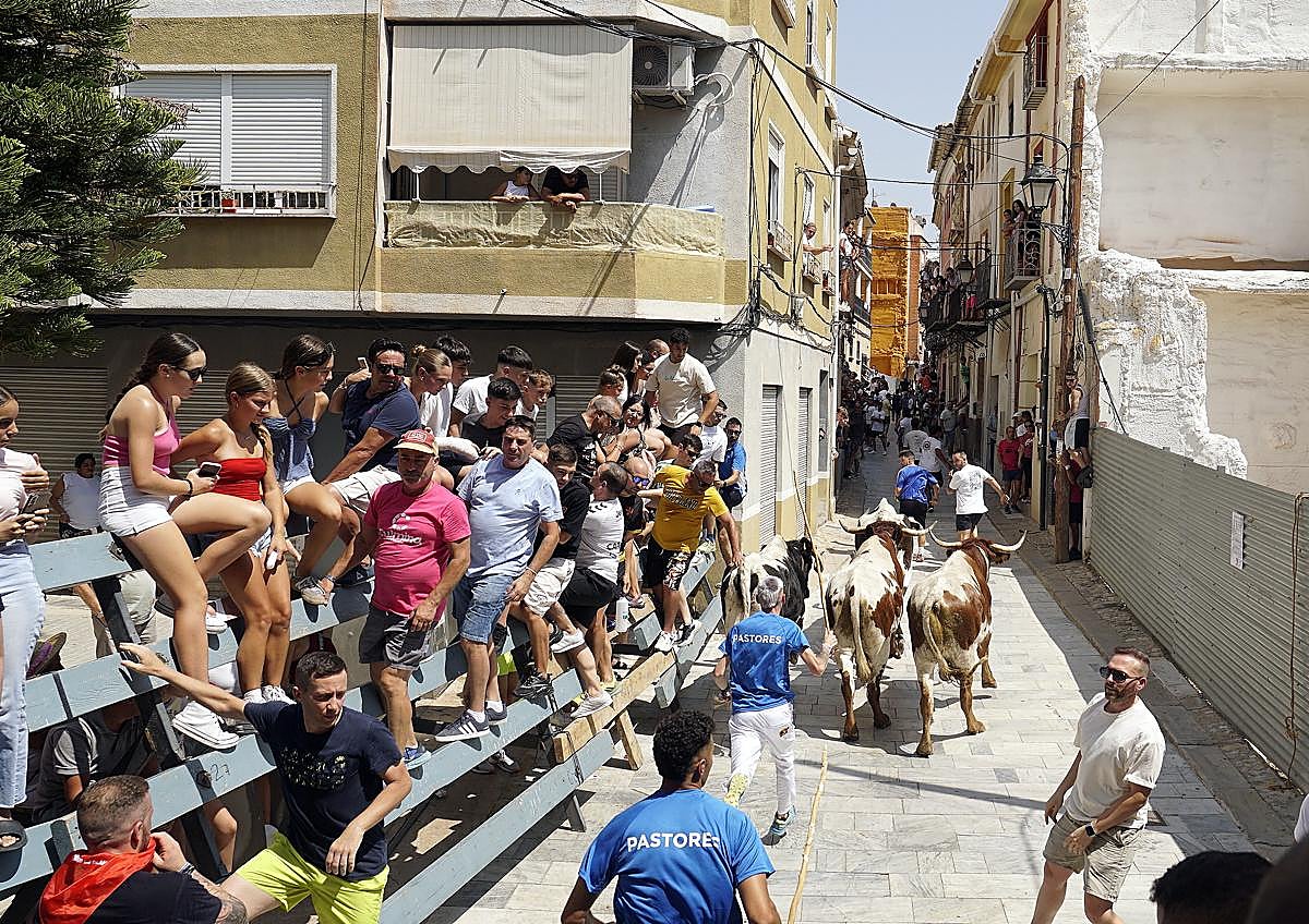 Imagen secundaria 1 - Primer encierro rápido y emocionante en Blanca este sábado