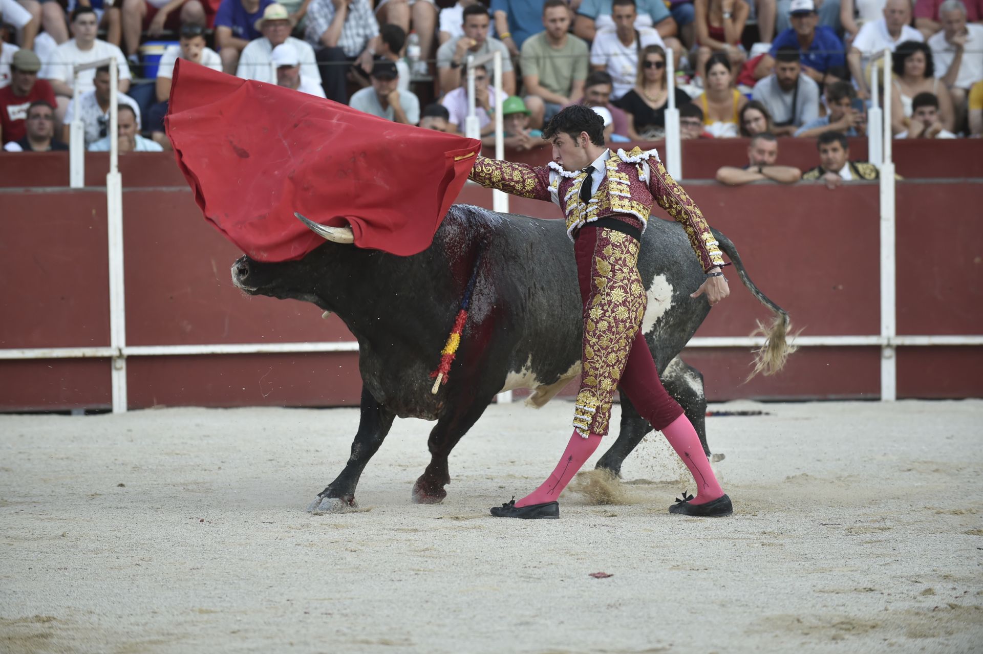 La novillada del domingo de la Feria de Blanca, en imágenes