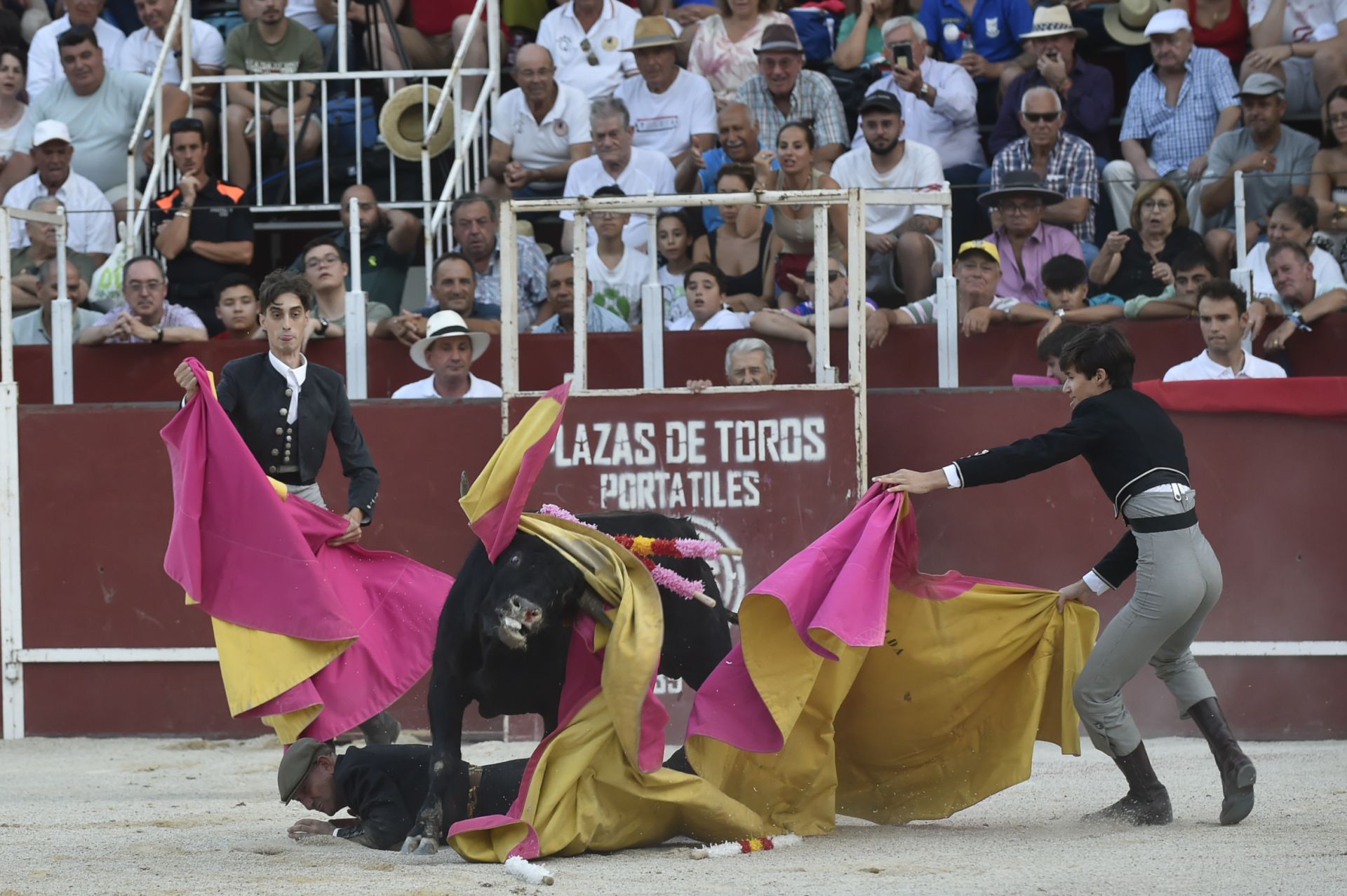 La novillada del domingo de la Feria de Blanca, en imágenes