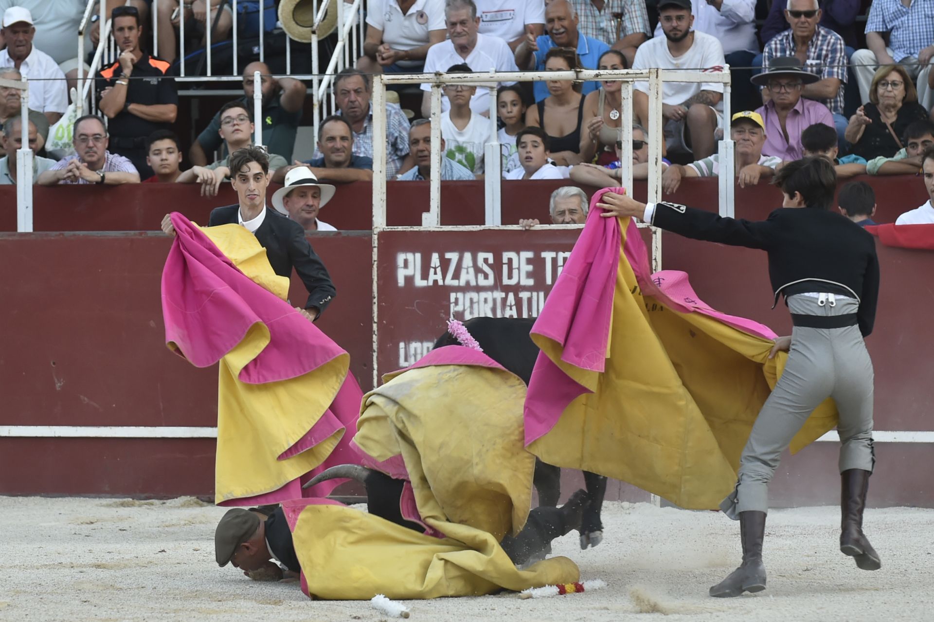 La novillada del domingo de la Feria de Blanca, en imágenes
