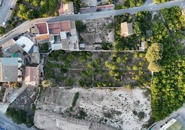 Vista aérea del huerto de Torre Lucas, de forma rectangular y con un canal central, donde estuvo el jardín monumental.