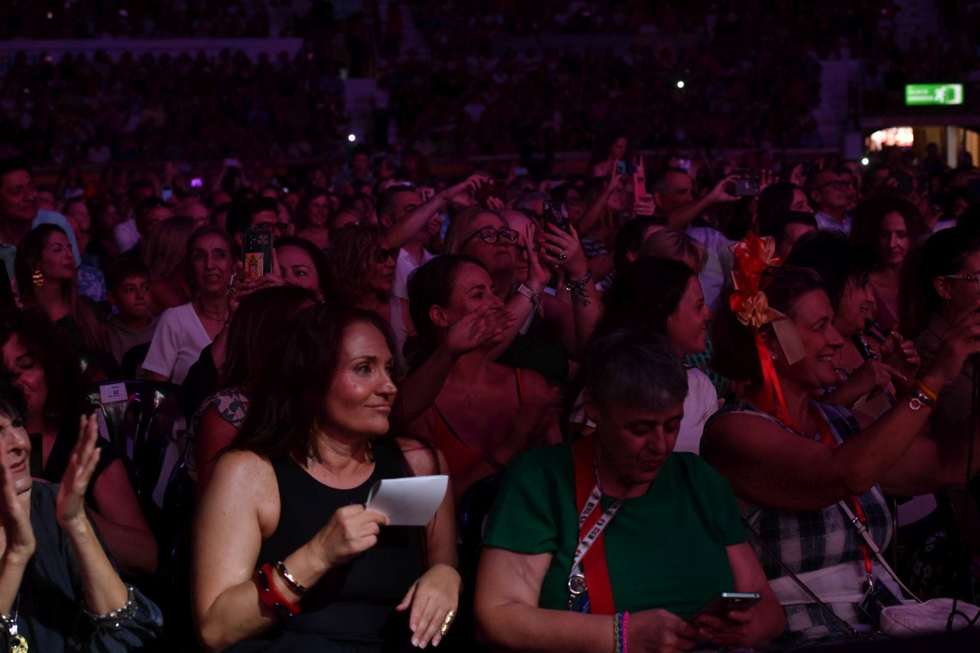 En imágenes, concierto de Alejandro Fernández en Murcia
