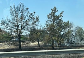 Bomberos trabajan en uno de los focos del incendio.