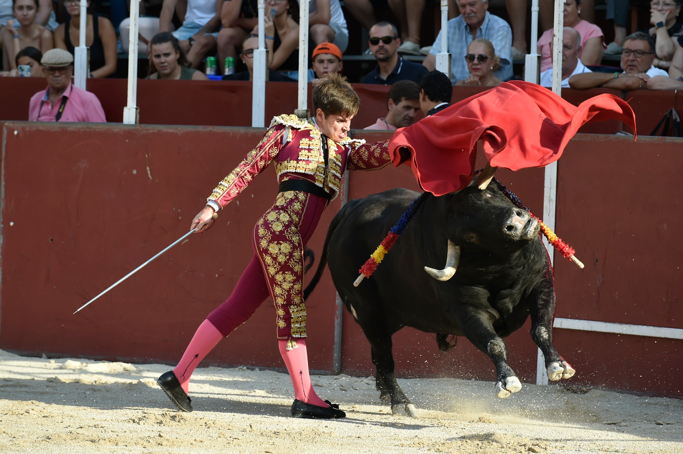 La segunda novillada de la Feria de Blanca, en imágenes