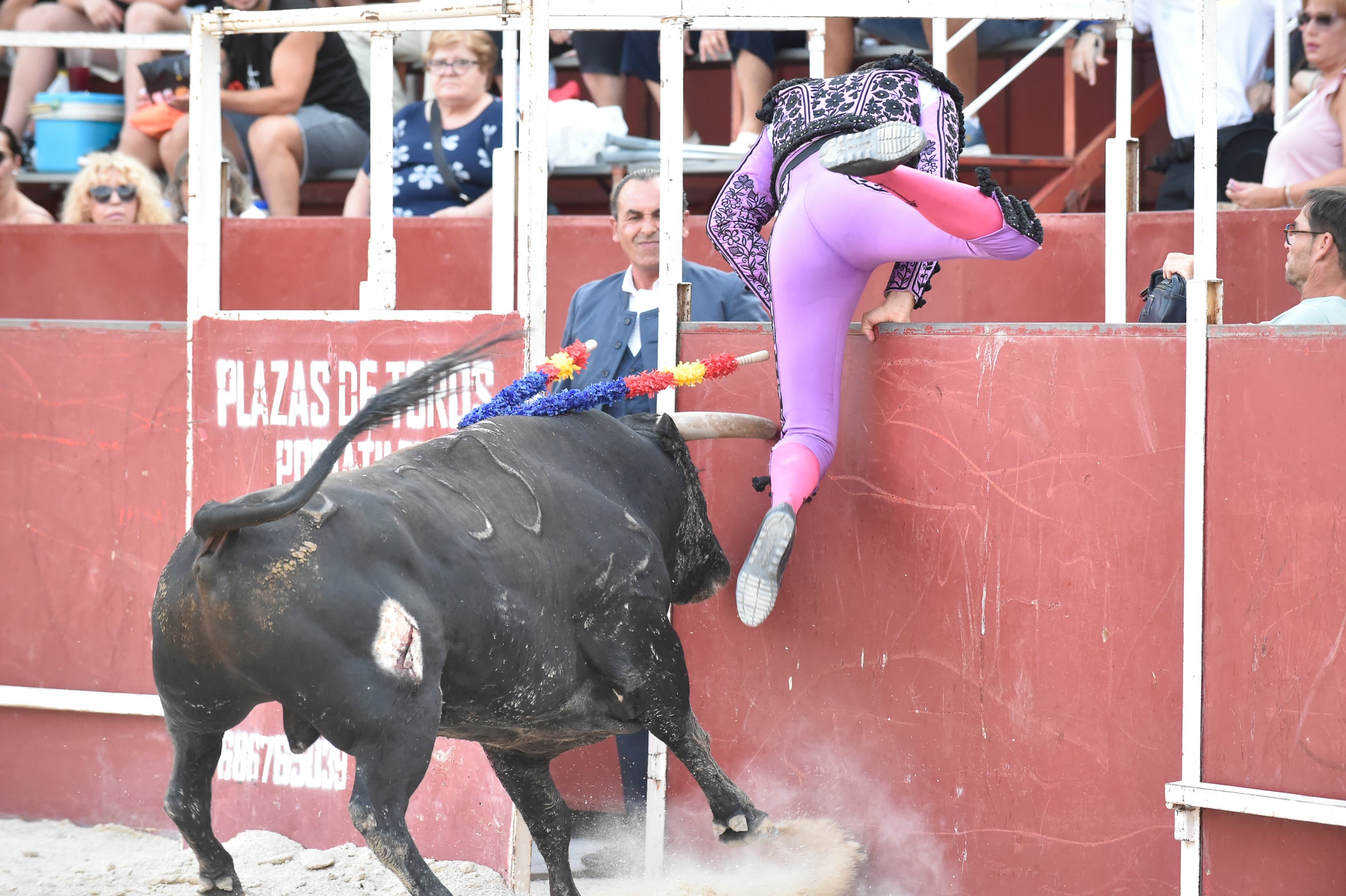 La segunda novillada de la Feria de Blanca, en imágenes