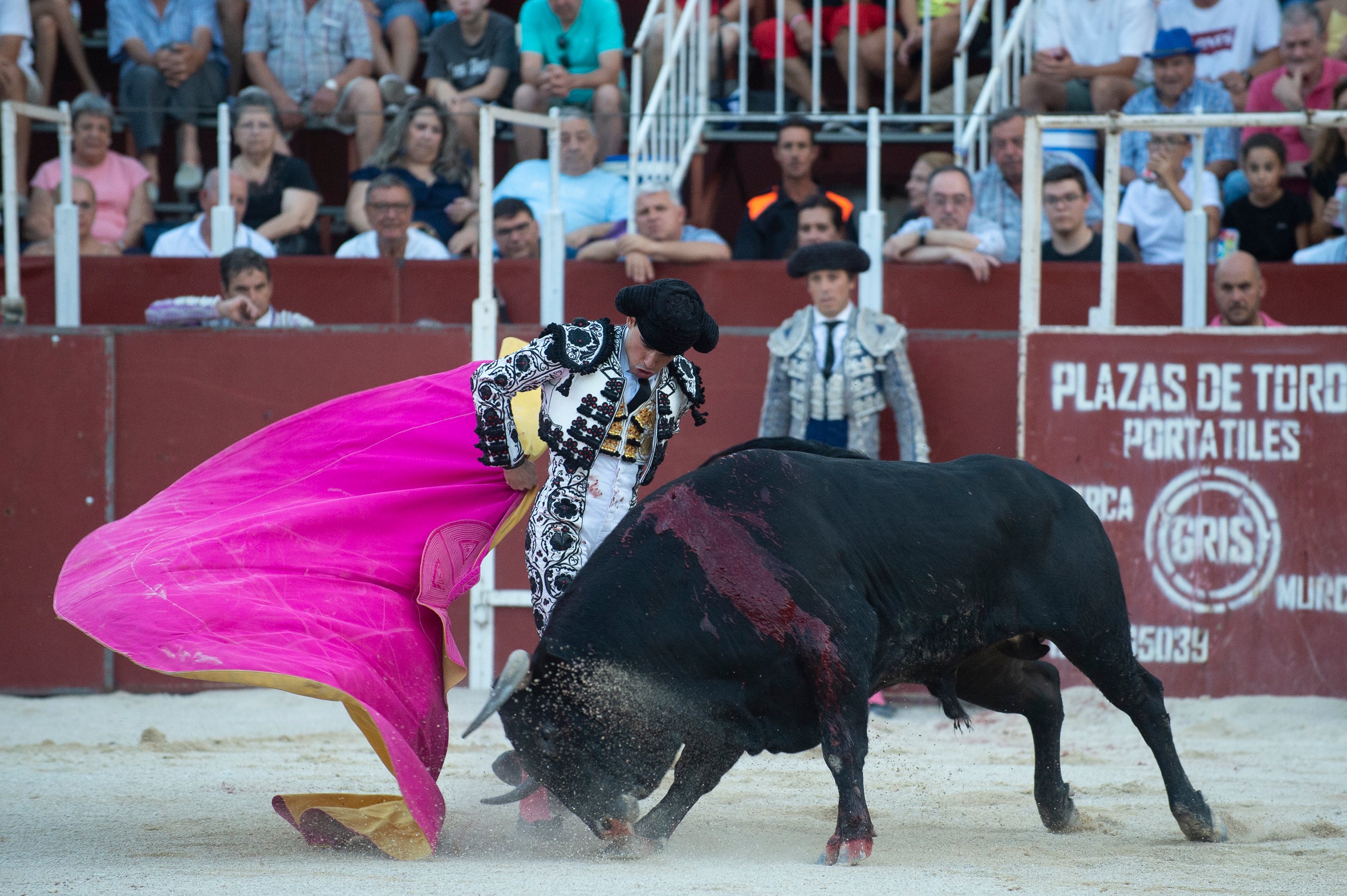 La segunda novillada de la Feria de Blanca, en imágenes