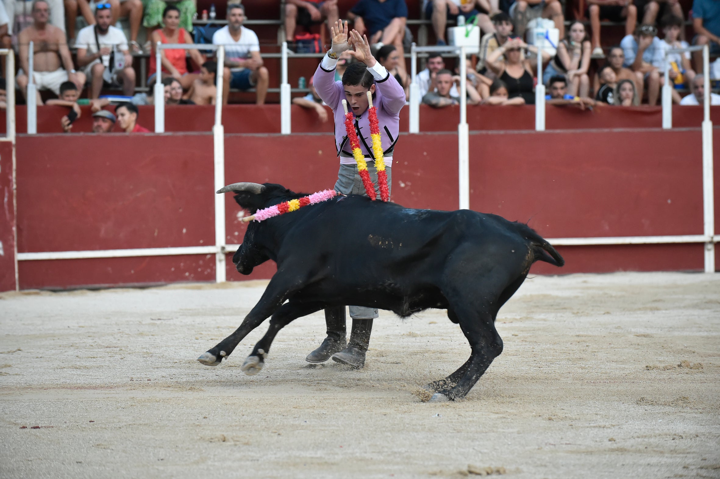 La segunda novillada de la Feria de Blanca, en imágenes
