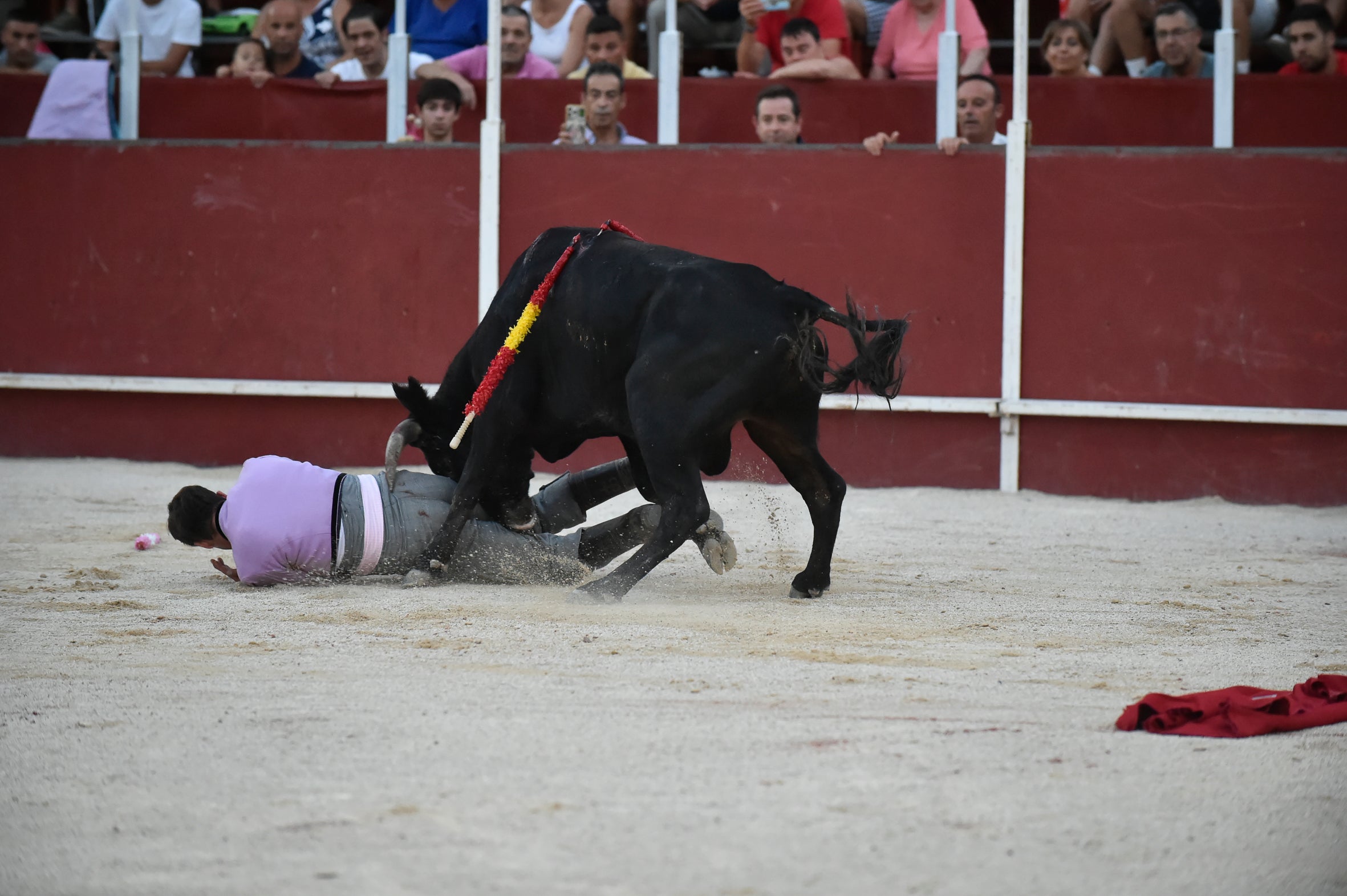 La segunda novillada de la Feria de Blanca, en imágenes
