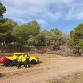 Agentes medioambientales vigilan una zona forestal en el marco de un operativo de prevención.